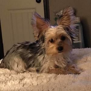 Meet your Posher, Eric